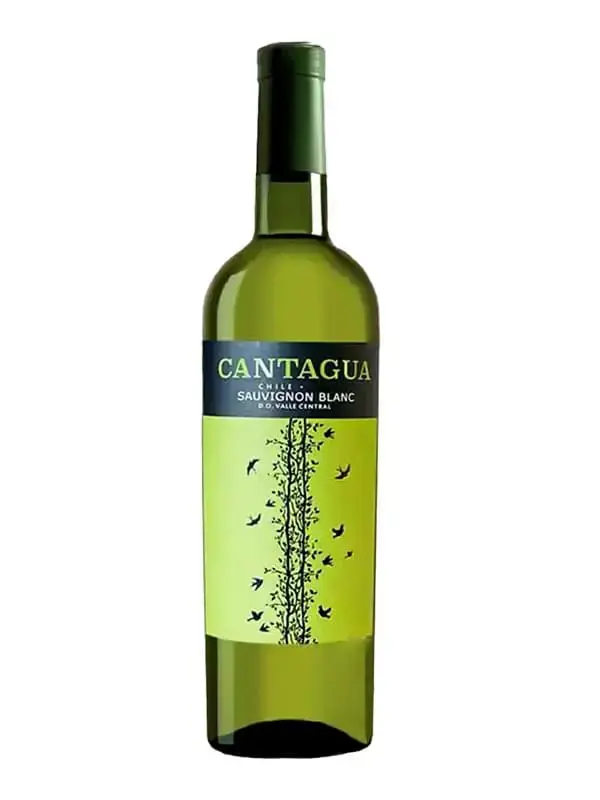 Cantagua Sauvignon Blanc – Chile, 750ml