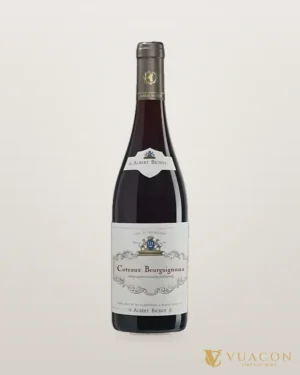 Albert Bichot Coteaux Bourguignons – chai chính hãng tại Vua Cồn