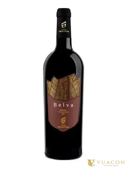 Belva Passito Rosso Colli Aprutini – Ý, 750ml
