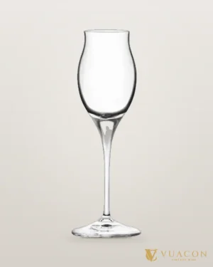 Bộ 6 ly RCR Invino Goblet – chai chính hãng tại Vua Cồn