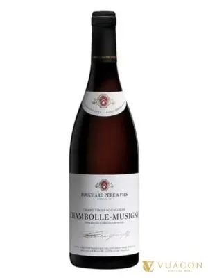 Bouchard Pere & Fils Chambolle-Musigny – Burgundy, Pháp, 750ml