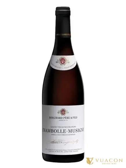 Bouchard Pere & Fils Chambolle-Musigny – Burgundy, Pháp, 750ml
