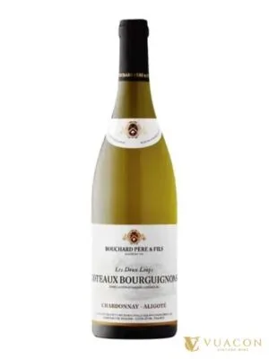Bouchard Pere & Fils Coteaux Bourguignons Aligote Chardonnay – Burgundy, Pháp, 750ml