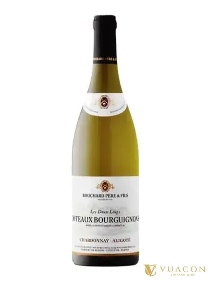 Bouchard Pere & Fils Coteaux Bourguignons Aligote Chardonnay – Burgundy, Pháp, 750ml