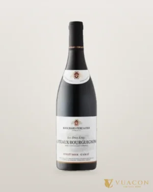 Bouchard Pere & Fils Coteaux Bourguignons Pinot Noir Gamay – chai chính hãng tại Vua Cồn