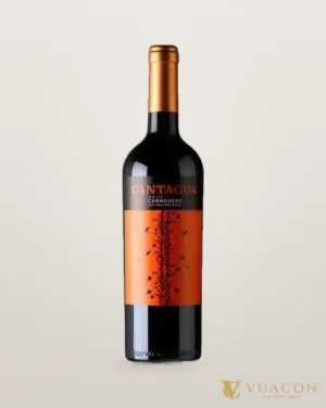 Cantagua Carmenere – chai chính hãng tại Vua Cồn
