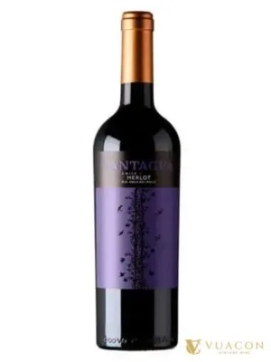 Cantagua Merlot – Chile, 750ml