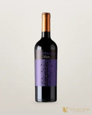 Cantagua Merlot – chai chính hãng tại Vua Cồn