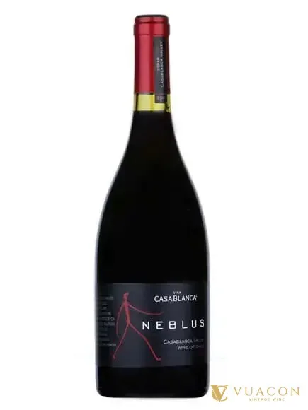 Casablanca Neblus Syrah – Chile, 750ml