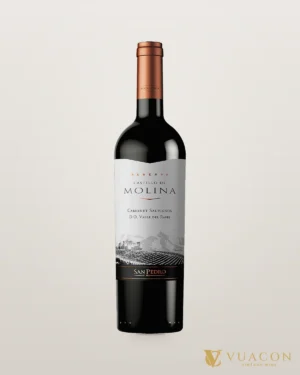 Castillo De Molina Reserva Cabernet Sauvignon – chai chính hãng tại Vua Cồn