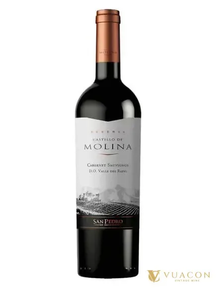 Castillo De Molina Reserva Cabernet Sauvignon – Chile, 750ml