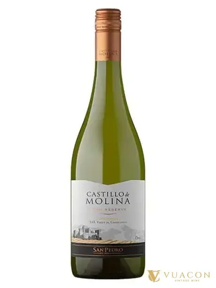 Castillo de Molina Reserva Chardonnay – Chile, 750ml