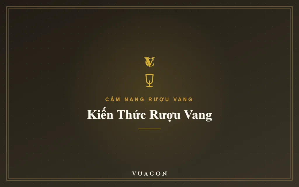 Những Vỏ Chai Rượu Đẹp, Đáng Sưu Tầm