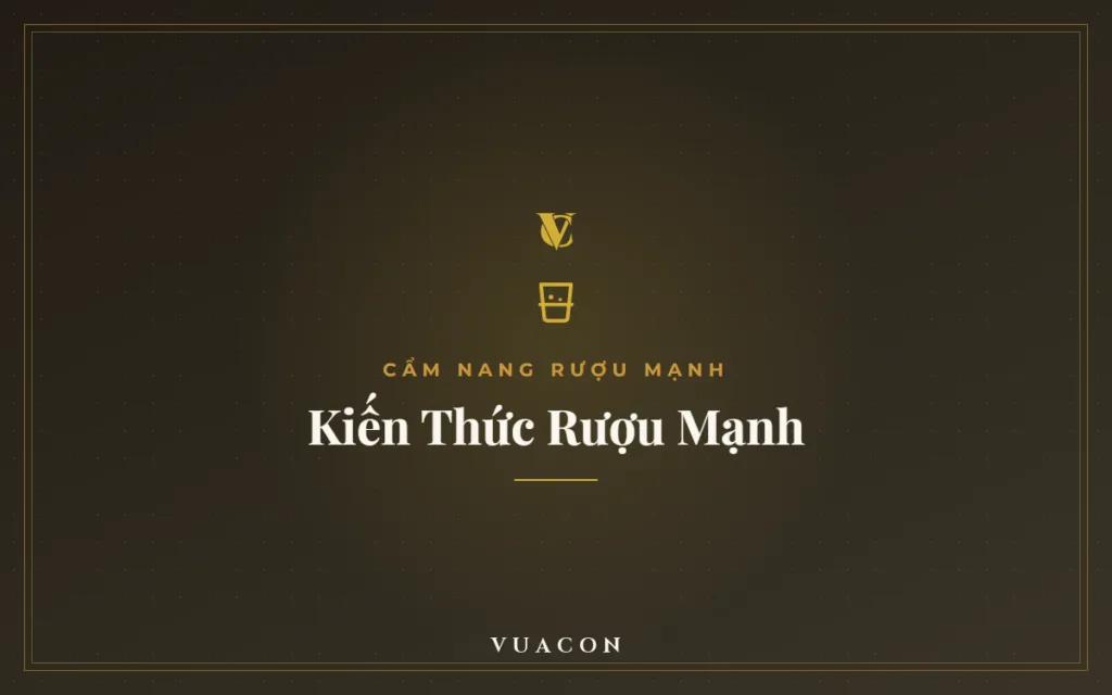 Các Loại Rượu Nhẹ Phổ Biến Hiện Nay