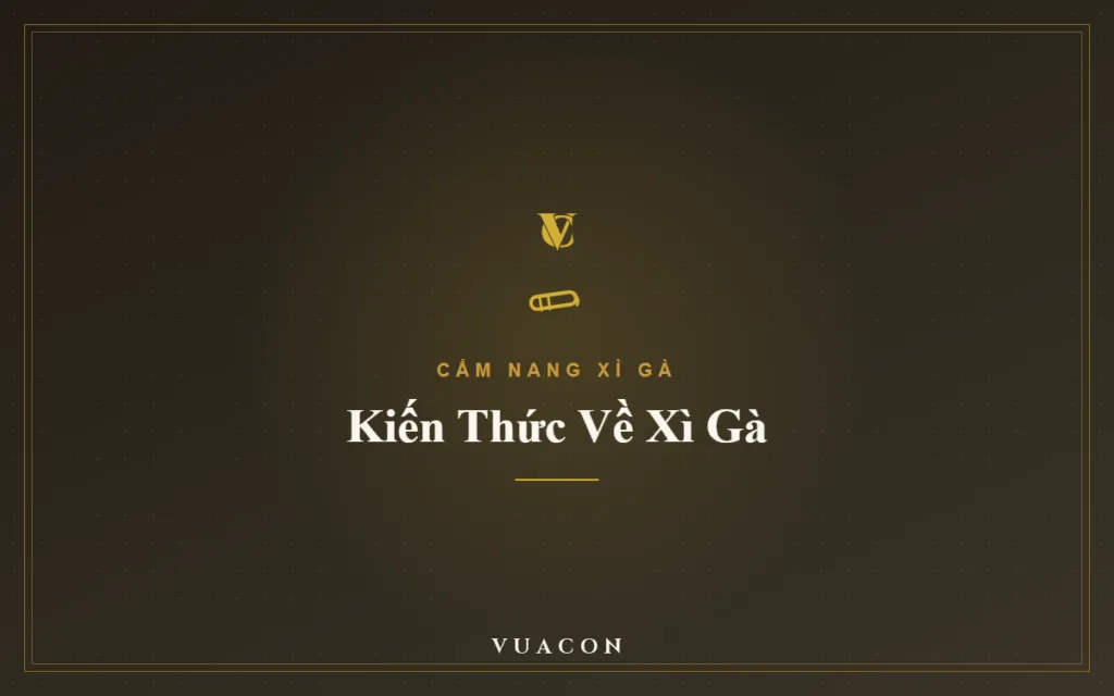Các Loại Xì Gà Cuba Nổi Tiếng: Hoyo de Monterrey, Partagas, Punch, Guantanamera
