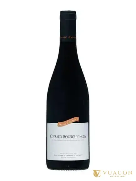 David Duband Coteaux Bourguignon Red – Burgundy, Pháp, 750ml