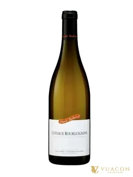 David Duband Coteaux Bourguignons Blanc – Burgundy, Pháp, 750ml