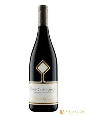 Domaine Gavignet Nuits St Georges 1er Cru Les Chaignots – Burgundy, Pháp, 750ml