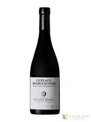 Domaine Sylvain Morey Coteaux Bourguignon – Burgundy, Pháp, 750ml