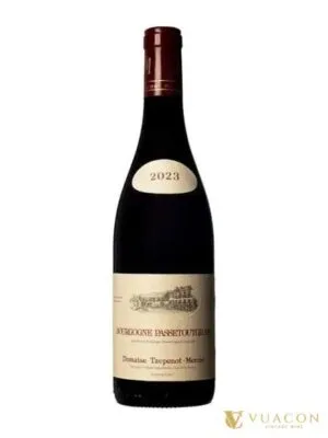 Domaine Taupenot Merme Bourgogne Passetoutgrain – Burgundy, Pháp, 750ml