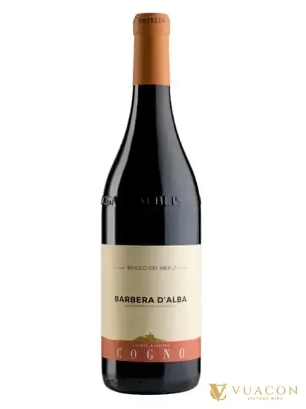 Elvio Cogno Barbera Bricco Merli – Piedmont, Ý, 750ml