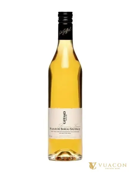 Giffard Fleur de Sureau Sauvage – Elderflower – liqueur, Pháp, 700ml