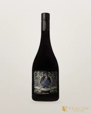 Kaiken Aventura Malbec Valle de Canota – chai chính hãng tại Vua Cồn