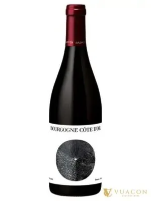 Louis Jadot Bourgogne Cote d’Or – Burgundy, Pháp, 750ml