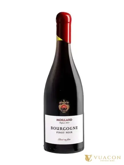 Moillard Bourgogne Pinot Noir Eleve En Futs – Burgundy, Pháp, 750ml