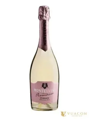 Montelvini Collezione Promosso Spumante Millesimato Brut – sparkling Brut, Ý, 750ml