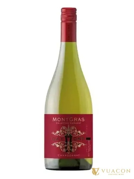 MontGras Day One Chardonnay – Chile, 750ml
