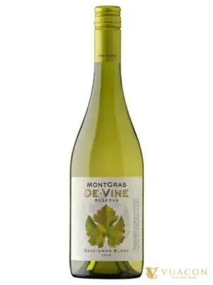 Montgras de Vine Reserva Sauvignon Blanc – Chile, 750ml