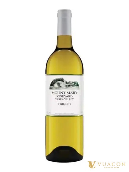 Vang trắng Úc 2026 Mount Mary Triolet vùng Yarra Valley