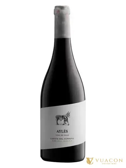 Pago Ayles Cuesta del Herrero – Tây Ban Nha, 750ml