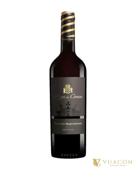 Pago de Cirsus Vendimia Seleccionada – Navarra, Tây Ban Nha, 750ml