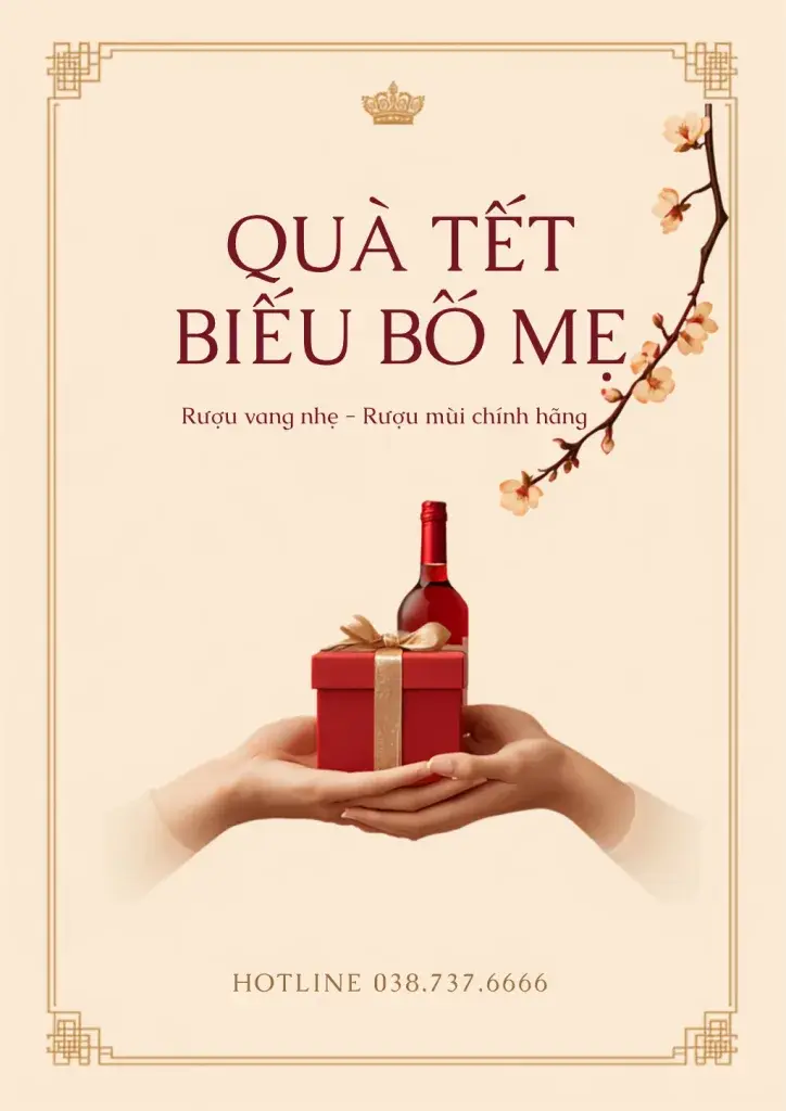 Quà Tết biếu bố mẹ - VUACON