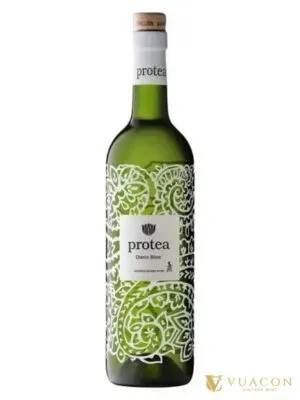 Protea Chenin Blanc – Nam Phi, 750ml