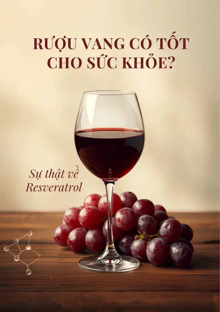 Rượu Vang Có Tốt Cho Sức Khỏe? Sự Thật Về Resveratrol