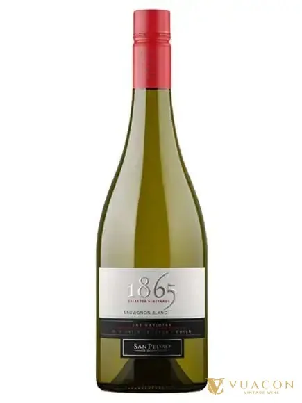 Rượu vang 1865 Sauvignon Blanc – Chile, 750ml