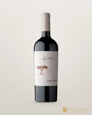 Rượu vang Apaltagua Signature Cabernet Sauvignon – chai chính hãng tại Vua Cồn