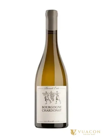 Rượu vang Benoit Ente Bourgogne Chardonnay – Burgundy, Pháp, 750ml