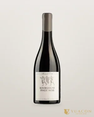 Rượu vang Benoit Ente Bourgogne Pinot Noir – chai chính hãng tại Vua Cồn