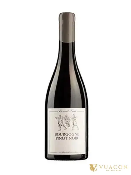 Rượu vang Benoit Ente Bourgogne Pinot Noir – Burgundy, Pháp, 750ml
