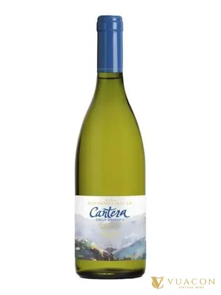Rượu vang Cantera Gran Reserva Chardonnay – Chile, 750ml