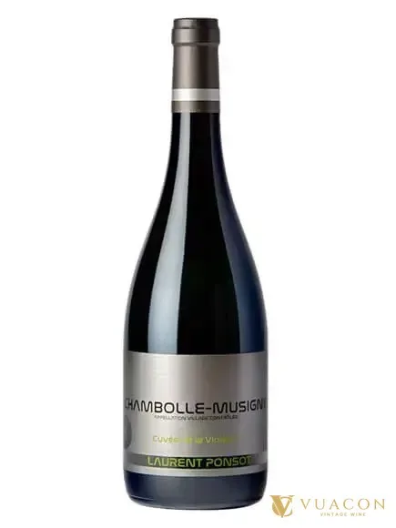 Rượu vang Chambolle-Musigny Cuvee De La Violette – Burgundy, Pháp, 750ml