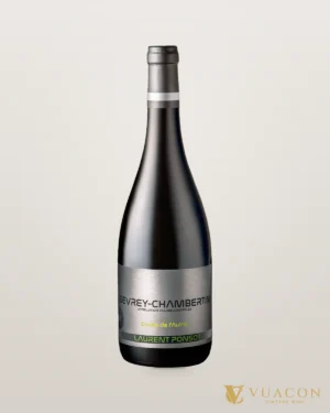 Rượu vang Laurent Ponsot Gevrey-Chambertin Cuvée de l’Aulne – chai chính hãng tại Vua Cồn