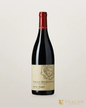 Rượu vang Louis Jadot Coteaux Bourguignons Red – chai chính hãng tại Vua Cồn
