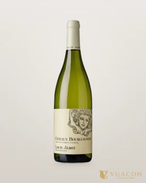 Rượu vang Louis Jadot Coteaux Bourguignon White – chai chính hãng tại Vua Cồn