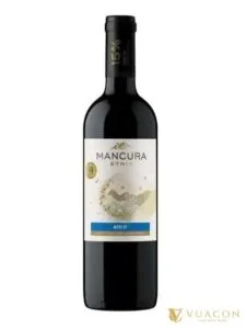 Rượu vang Mancura Etnia Merlot – Chile, 750ml