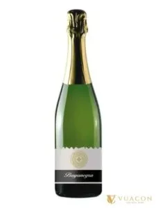 Rượu vang nổ Bayanegra Sparkling White – vang nổ / Sparkling, Tây Ban Nha, 750ml